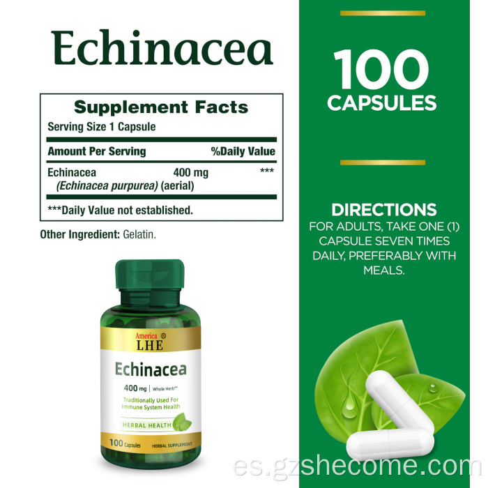 Suplemento de equinácea para la salud del sistema inmunitario